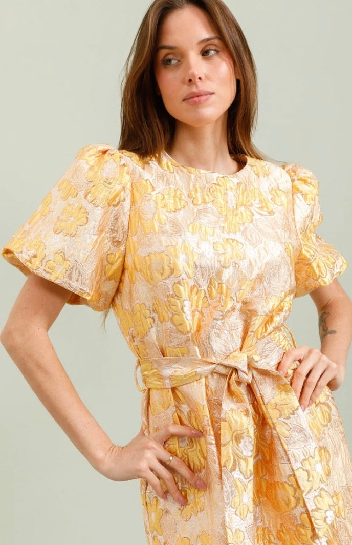 Fleuria Dress