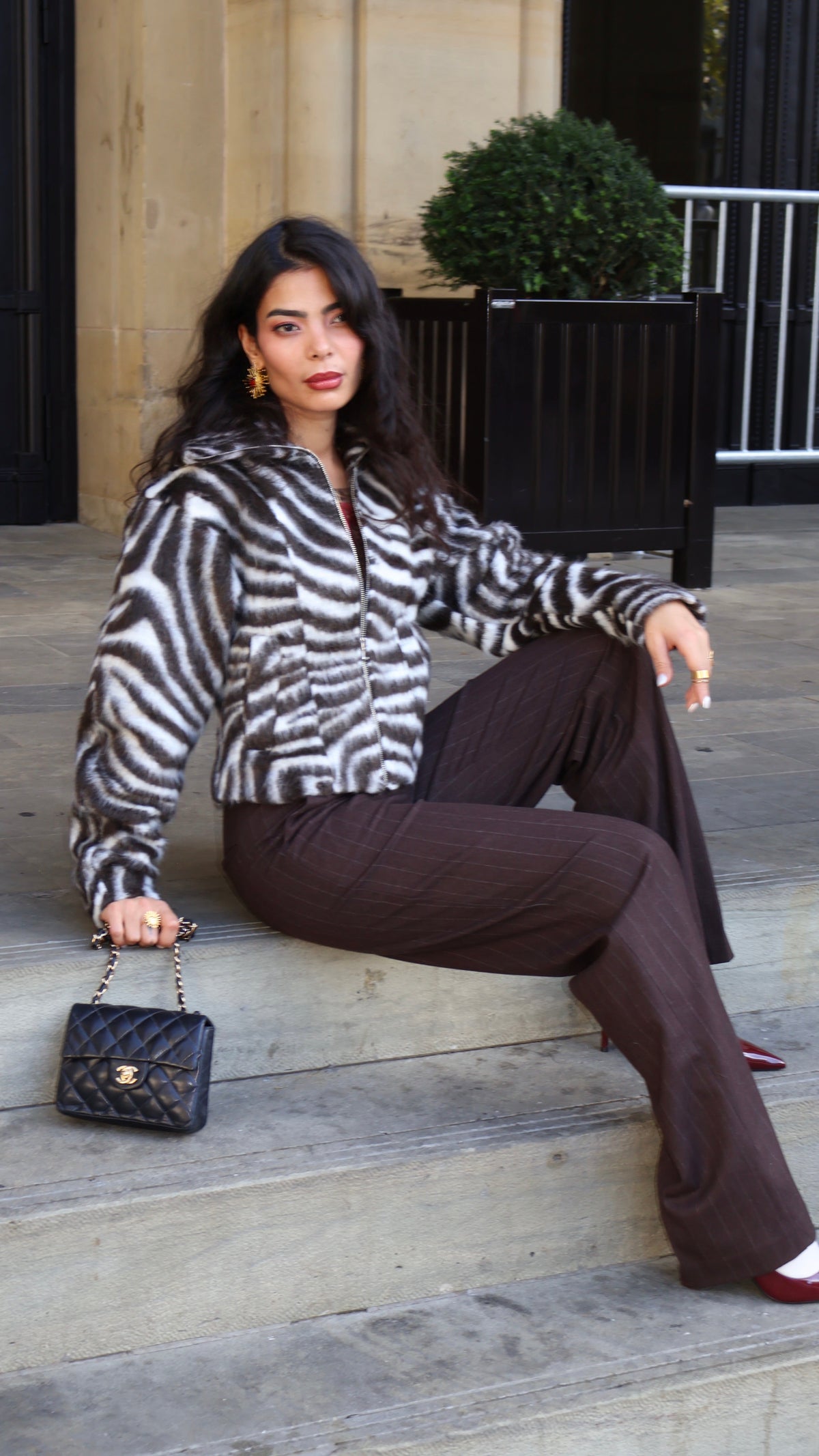 Zebra Jacket
